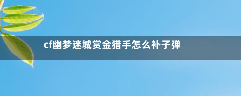 cf幽梦迷城赏金猎手怎么补子弹