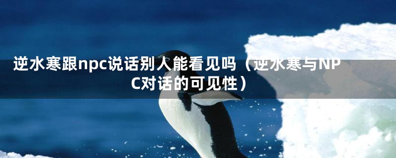 逆水寒跟npc说话别人能看见吗(逆水寒与NPC对话的可见性)