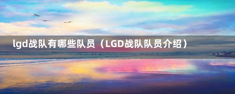 lgd战队有哪些队员(LGD战队队员介绍)