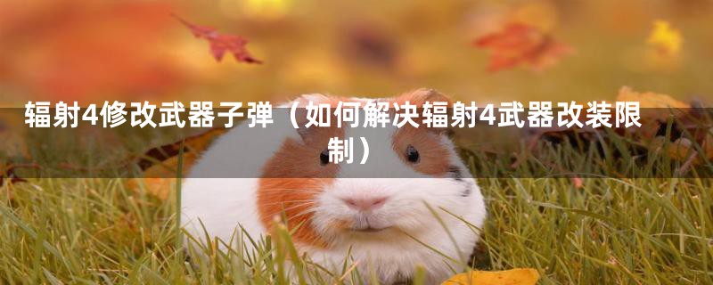 辐射4修改武器子弹(如何解决辐射4武器改装限制)
