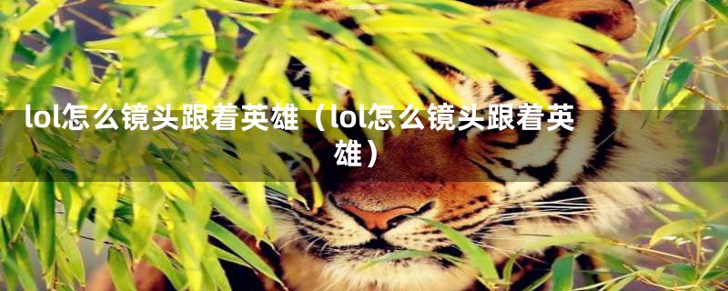 lol怎么镜头跟着英雄(lol怎么镜头跟着英雄)