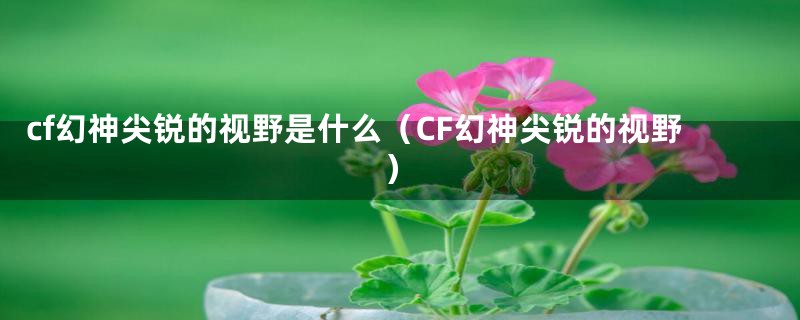 cf幻神尖锐的视野是什么(CF幻神尖锐的视野)