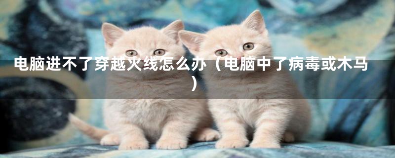电脑进不了穿越火线怎么办(电脑中了病毒或木马)
