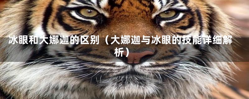 冰眼和大娜迦的区别（大娜迦与冰眼的技能详细解析）