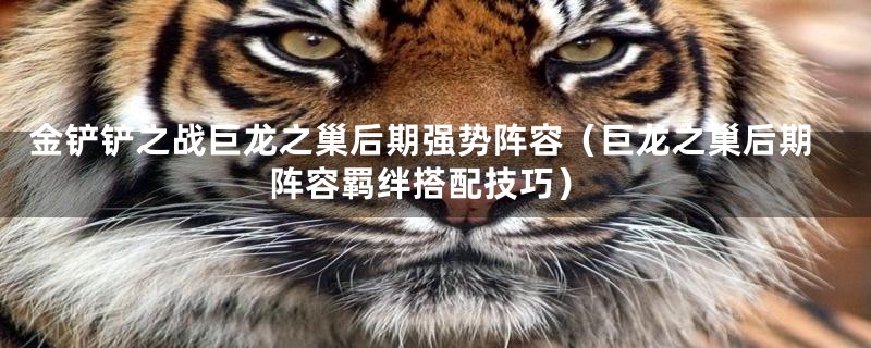 金铲铲之战巨龙之巢后期强势阵容（巨龙之巢后期阵容羁绊搭配技巧）