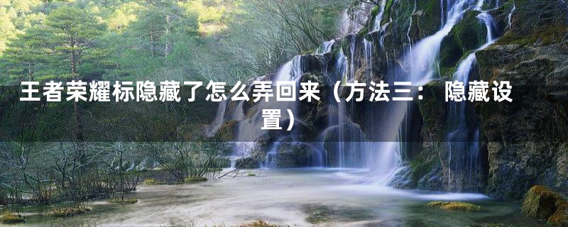 王者荣耀标隐藏了怎么弄回来(方法三: 隐藏设置)