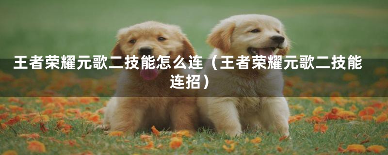 王者荣耀元歌二技能怎么连（王者荣耀元歌二技能连招）