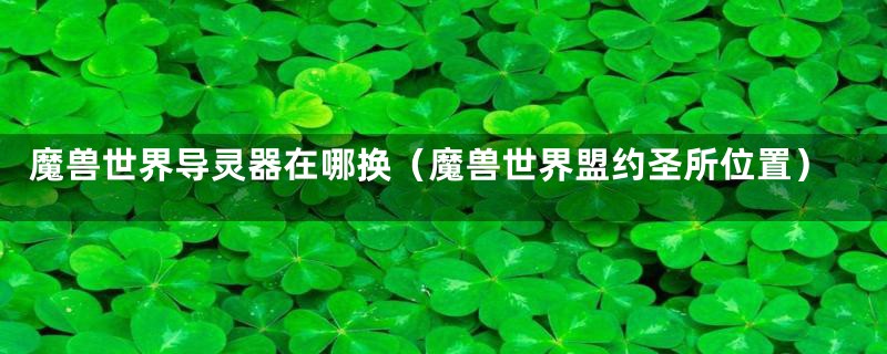 魔兽世界导灵器在哪换(魔兽世界盟约圣所位置)