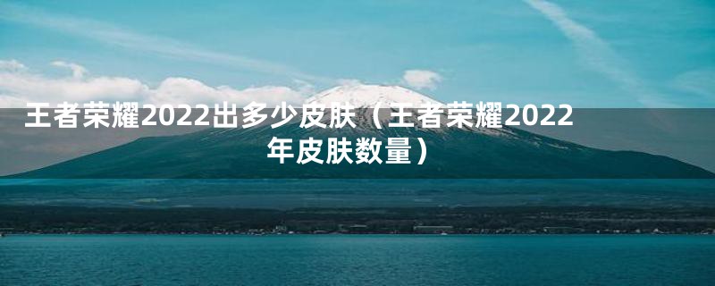 王者荣耀2022出多少皮肤（王者荣耀2022年皮肤数量）