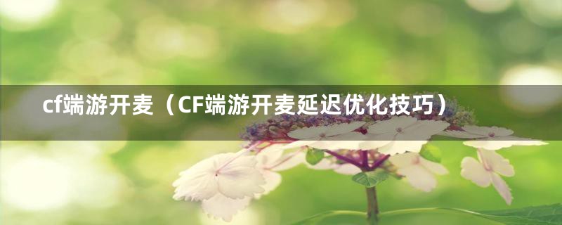 cf端游开麦（CF端游开麦延迟优化技巧）