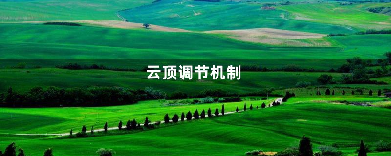 云顶调节机制