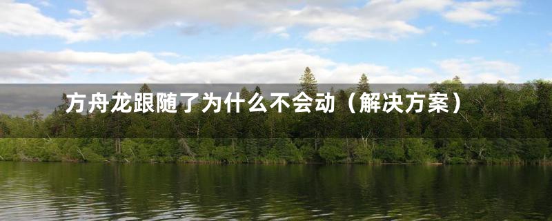 方舟龙跟随了为什么不会动(解决方案)
