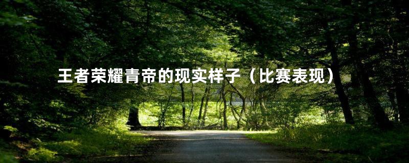 王者荣耀青帝的现实样子(比赛表现)