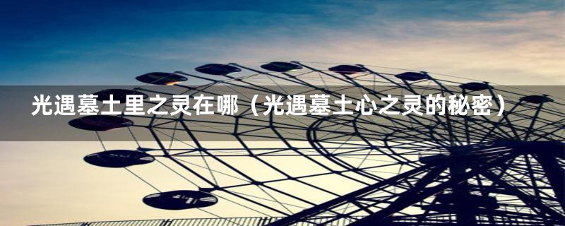 光遇墓土里之灵在哪(光遇墓土心之灵的秘密)