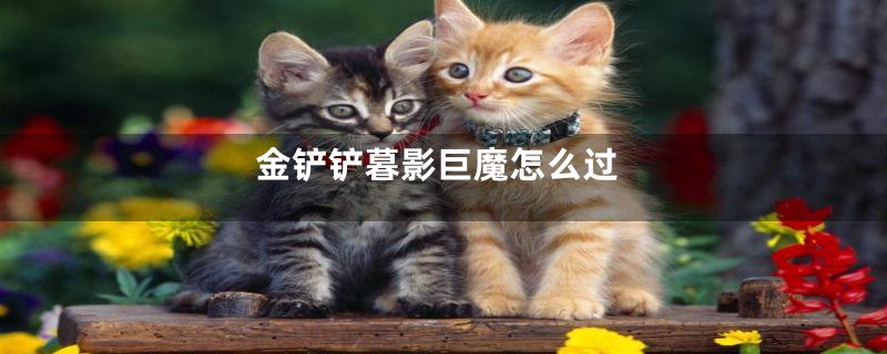 金铲铲暮影巨魔怎么过
