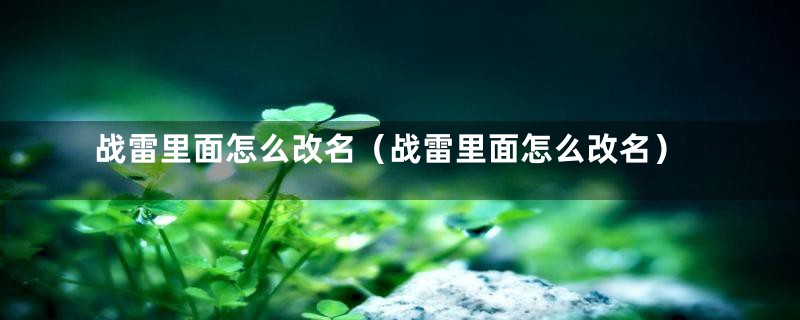 战雷里面怎么改名（战雷里面怎么改名）