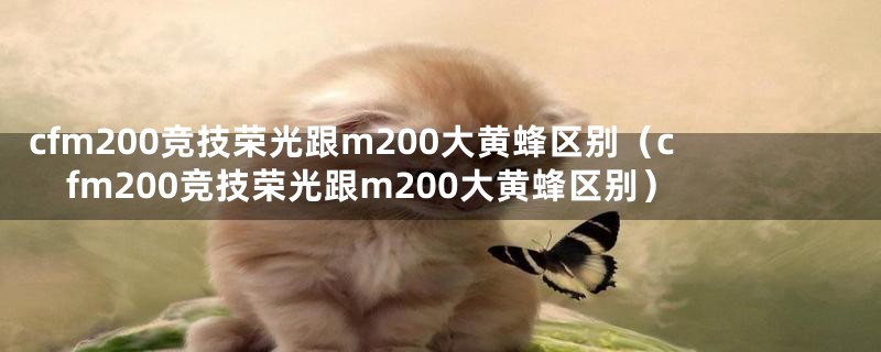 cfm200竞技荣光跟m200大黄蜂区别(cfm200竞技荣光跟m200大黄蜂区别)