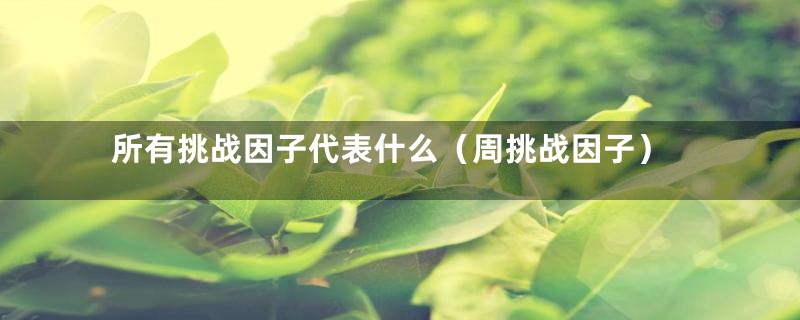 所有挑战因子代表什么(周挑战因子)