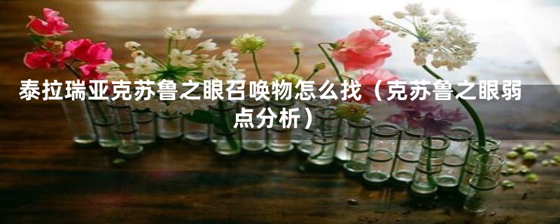 泰拉瑞亚克苏鲁之眼召唤物怎么找（克苏鲁之眼弱点分析）
