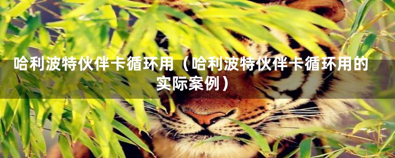 哈利波特伙伴卡循环用(哈利波特伙伴卡循环用的实际案例)