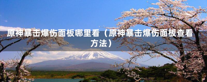 原神暴击爆伤面板哪里看(原神暴击爆伤面板查看方法)