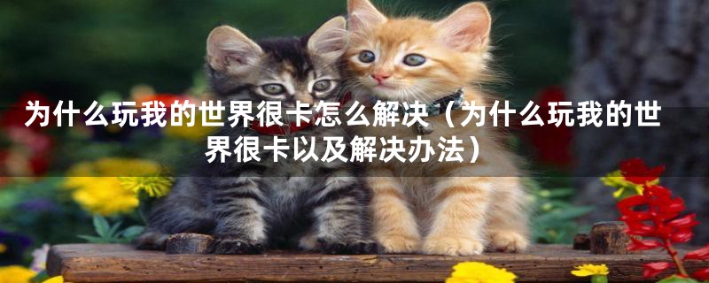 为什么玩我的世界很卡怎么解决(为什么玩我的世界很卡以及解决办法)