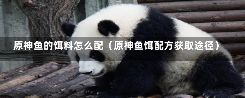 原神鱼的饵料怎么配(原神鱼饵配方获取途径)