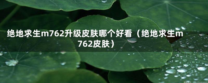 绝地求生m762升级皮肤哪个好看(绝地求生m762皮肤)
