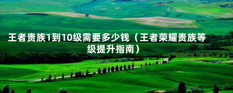 王者贵族1到10级需要多少钱（王者荣耀贵族等级提升指南）