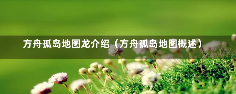 方舟孤岛地图龙介绍(方舟孤岛地图概述)
