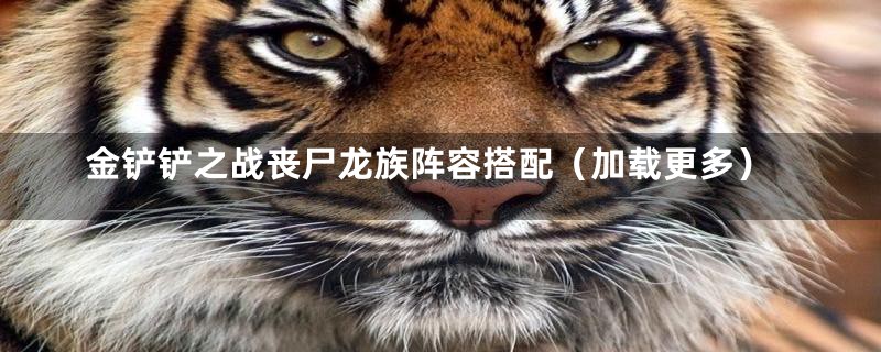 金铲铲之战丧尸龙族阵容搭配（加载更多）