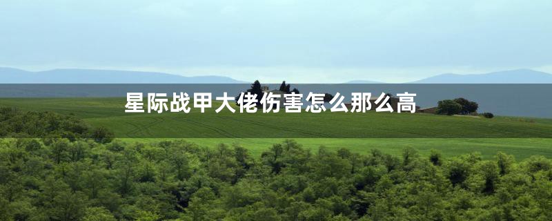 星际战甲大佬伤害怎么那么高