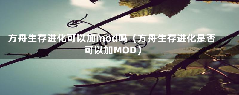 方舟生存进化可以加mod吗（方舟生存进化是否可以加MOD）