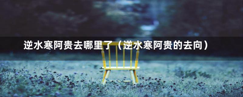 逆水寒阿贵去哪里了(逆水寒阿贵的去向)