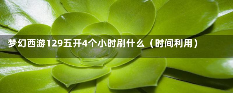 梦幻西游129五开4个小时刷什么（时间利用）