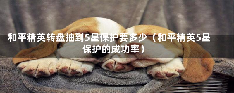 和平精英转盘抽到5星保护要多少(和平精英5星保护的成功率)