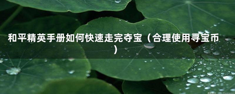 和平精英手册如何快速走完夺宝(合理使用寻宝币)