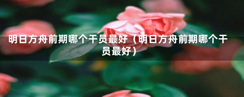 明日方舟前期哪个干员最好（明日方舟前期哪个干员最好）
