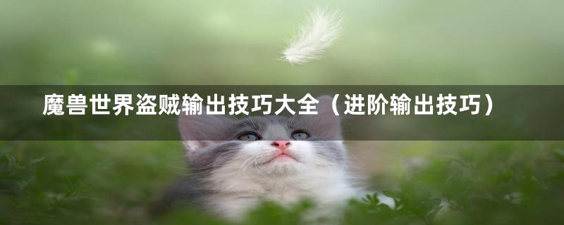 魔兽世界盗贼输出技巧大全（进阶输出技巧）