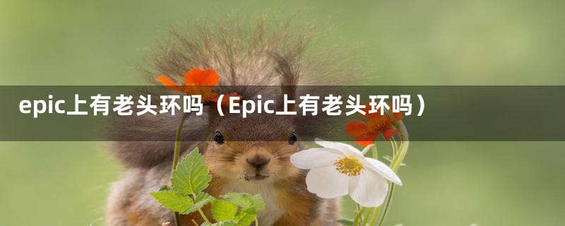 epic上有老头环吗(Epic上有老头环吗)