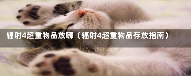 辐射4超重物品放哪(辐射4超重物品存放指南)
