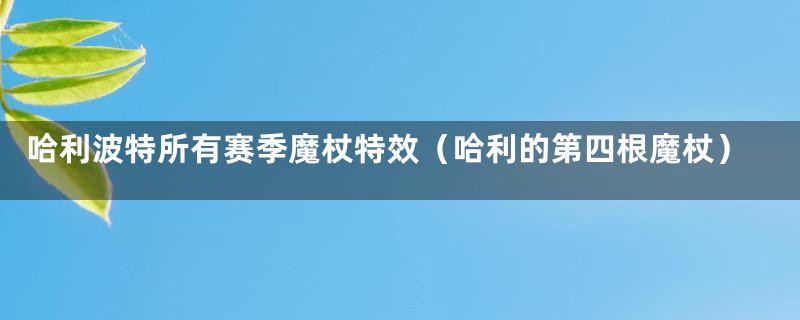 哈利波特所有赛季魔杖特效（哈利的第四根魔杖）