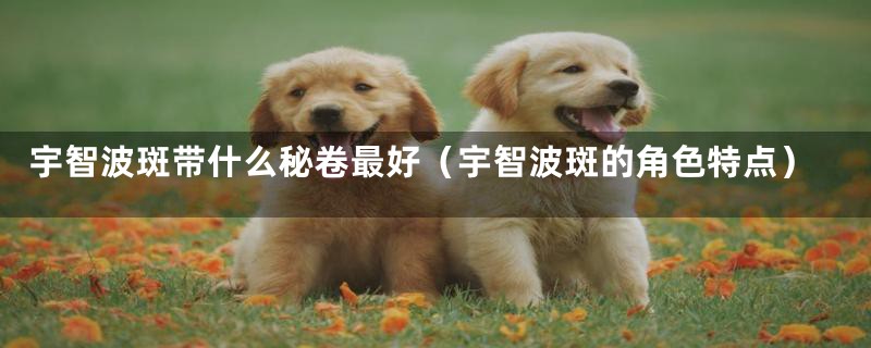 宇智波斑带什么秘卷最好(宇智波斑的角色特点)