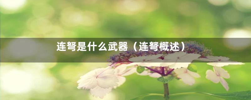 连弩是什么武器(连弩概述)