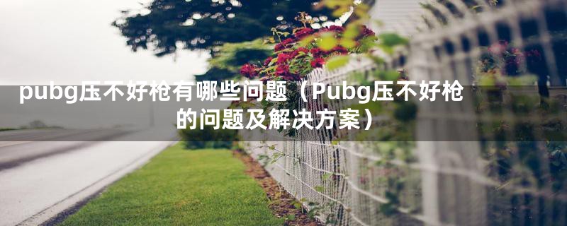 pubg压不好枪有哪些问题(Pubg压不好枪的问题及解决方案)