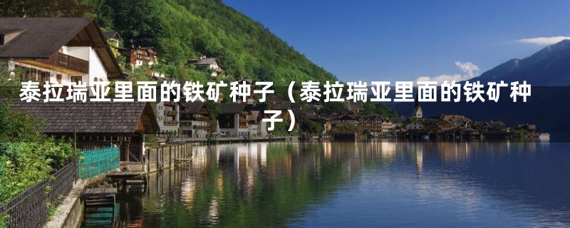 泰拉瑞亚里面的铁矿种子(泰拉瑞亚里面的铁矿种子)