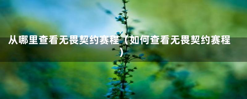 从哪里查看无畏契约赛程(如何查看无畏契约赛程)