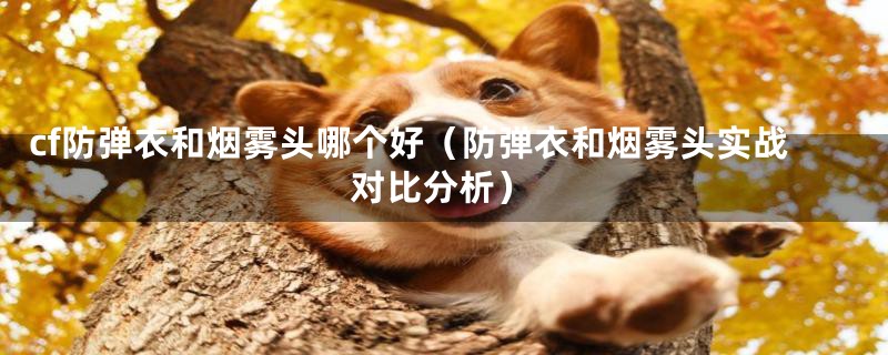 cf防弹衣和烟雾头哪个好(防弹衣和烟雾头实战对比分析)