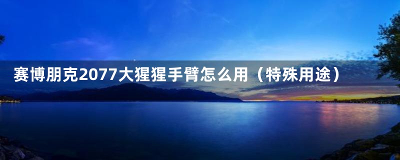 赛博朋克2077大猩猩手臂怎么用(特殊用途)