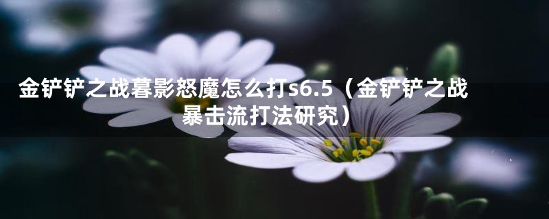 金铲铲之战暮影怒魔怎么打s6.5(金铲铲之战暴击流打法研究)